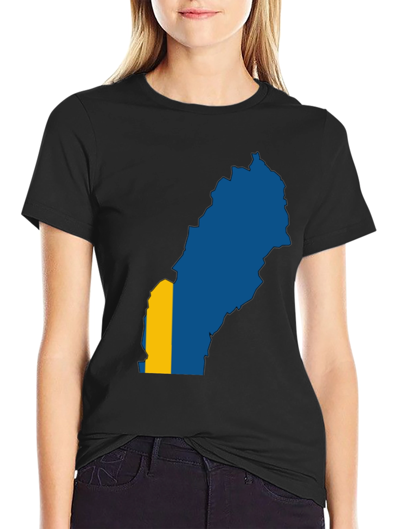 Sweden Map Flag Graphic Tee - Black T-Shirt