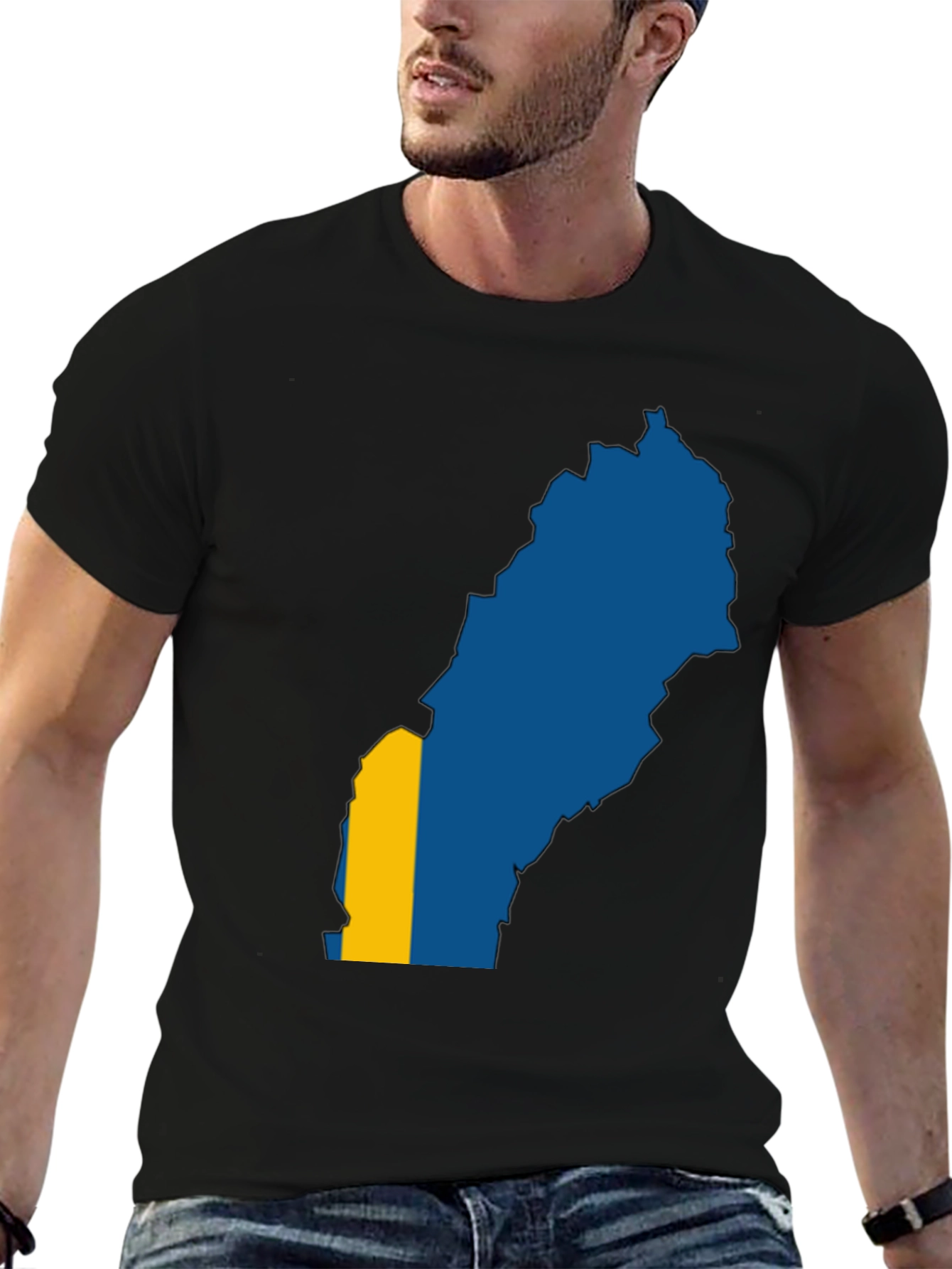 Sweden Map Flag Graphic Tee - Black T-Shirt