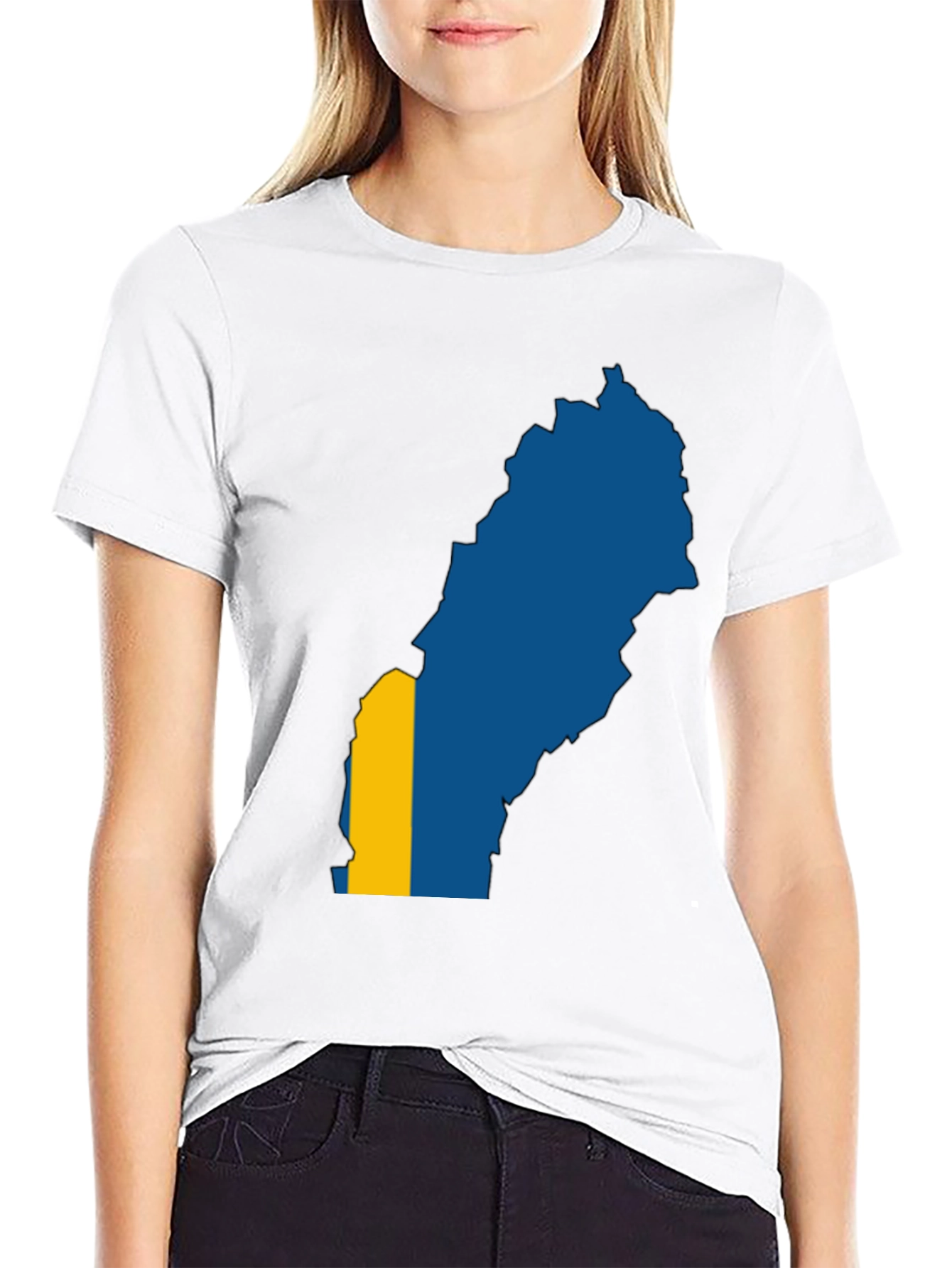 Sweden Map Flag Graphic Tee - Black T-Shirt