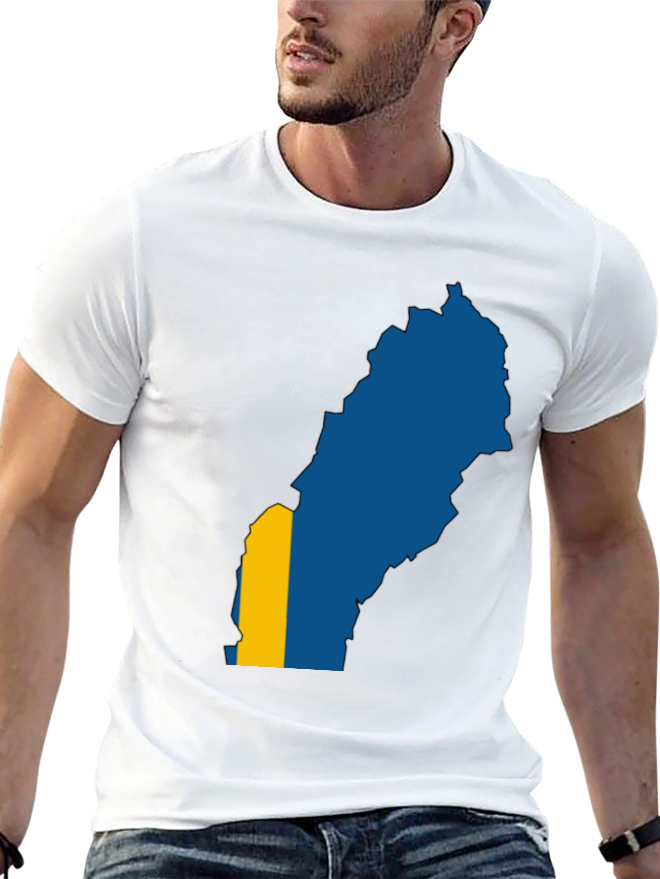 Sweden Map Flag Graphic Tee - Black T-Shirt